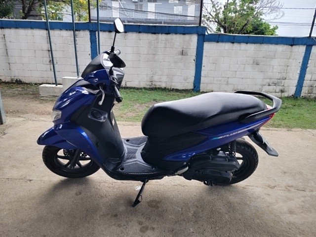 FLUO 125 ANO 2024 / 2025