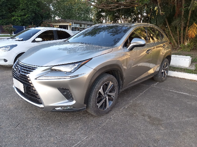  NX 300H 2.5 LUXURY ANO 2018/2019