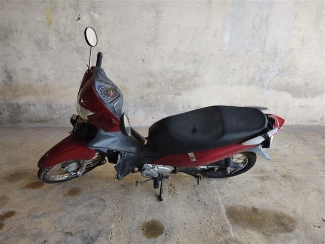 BIZ 110I ANO 2020/2020