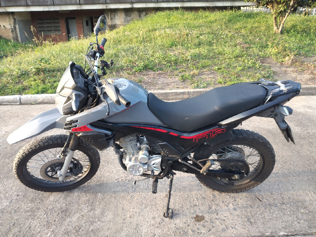SHI 175 2023/2024