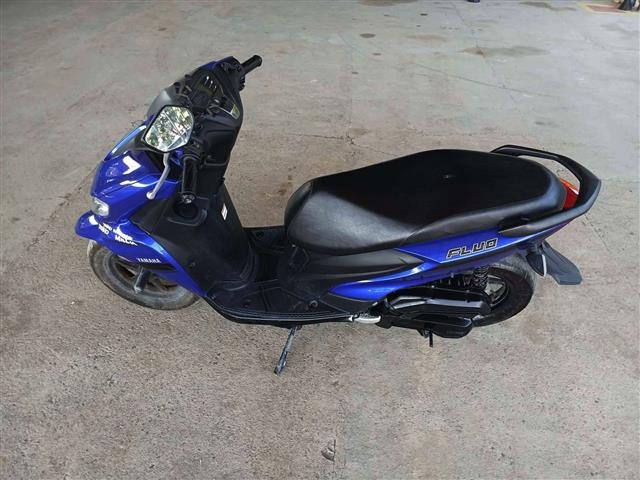 FLUO 125 ANO 2023/2024